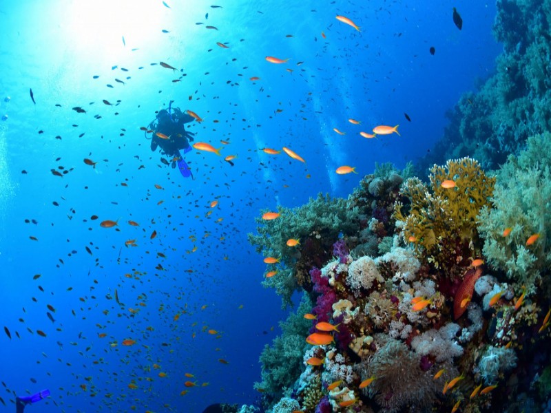 7 Day – Magical Red Sea
