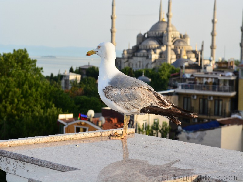 Istanbul Old City Tour